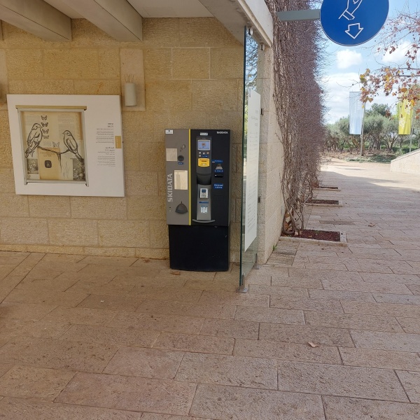 קובץ:2023-01-30T10 07 37.079159654016.jpg