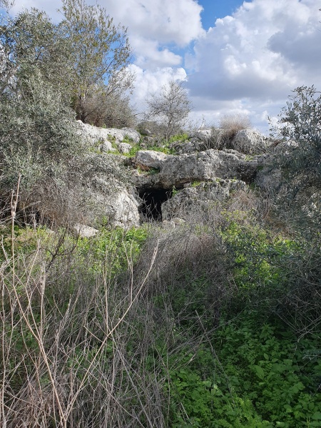 קובץ:2023-02-15T14 12 08.201460311038.jpg