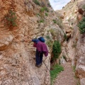 תמונה ממוזערת לגרסה מתאריך 12:52, 16 בפברואר 2023