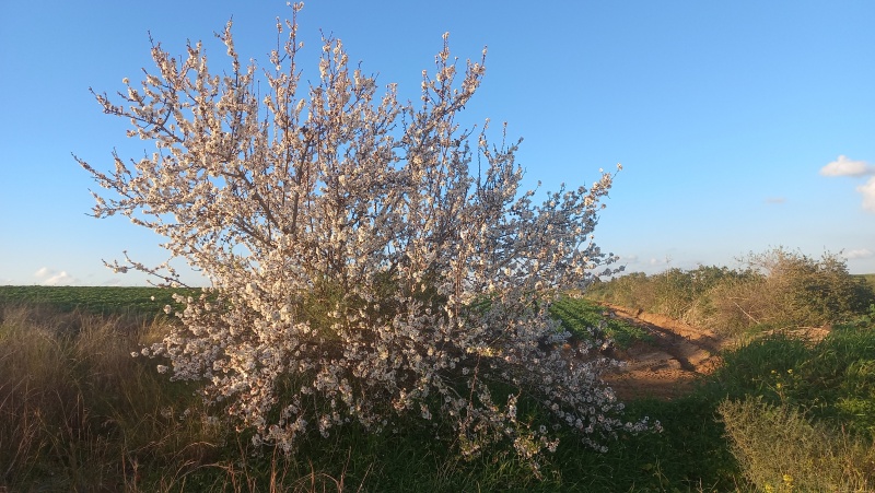 קובץ:2023-02-23T16 45 38.664872377782.jpg