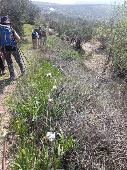 קובץ:2023-03-04T10 23 11.123414959226.jpg