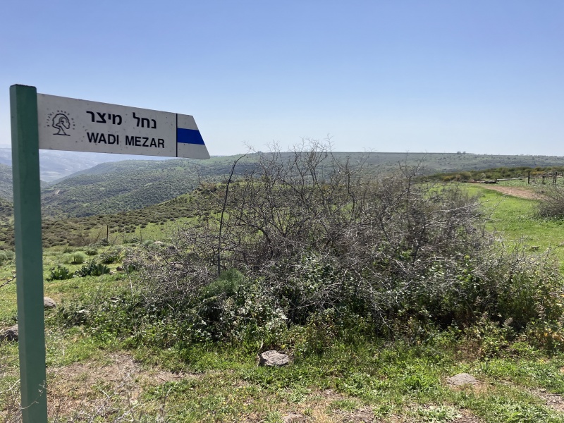 קובץ:2023-03-11T13 08 10.552747648619.jpg