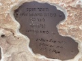 תמונה ממוזערת לגרסה מתאריך 13:38, 14 במרץ 2023