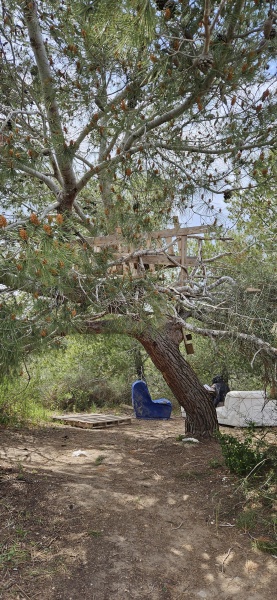 קובץ:2023-03-18T13 56 31.561798870290.jpg