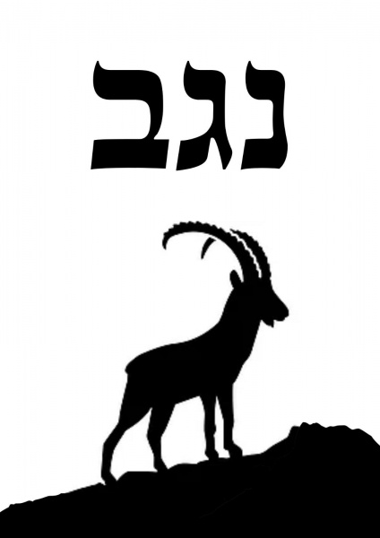 קובץ:2023-03-18T23 54 35.818150332815.jpg