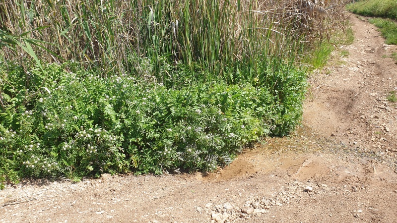 קובץ:2023-04-01T10 49 33.081597994338.jpg