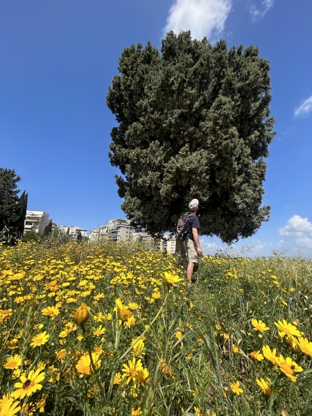 קובץ:2023-04-06T09 19 41.134252894500.jpg