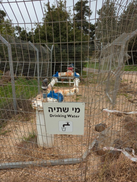 קובץ:2023-04-09T10 15 34.691316558829.jpg