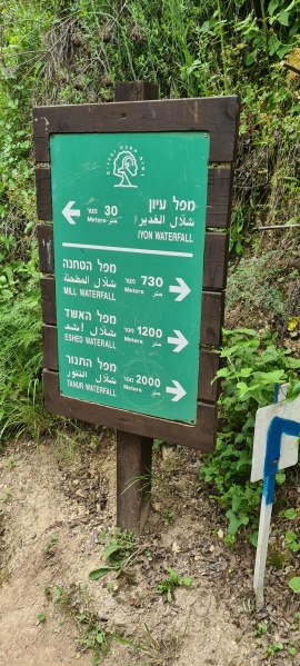 קובץ:2023-04-10T11 21 01.345183163487.jpg