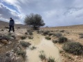 תמונה ממוזערת לגרסה מתאריך 19:01, 12 באפריל 2023