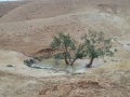 תמונה ממוזערת לגרסה מתאריך 10:56, 14 באפריל 2023