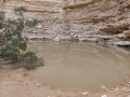 תמונה ממוזערת לגרסה מתאריך 14:01, 16 באפריל 2023