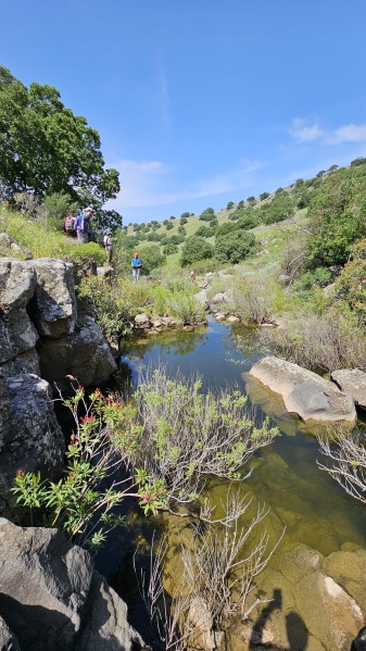 קובץ:2023-04-22T10 53 47.607839472129.jpg