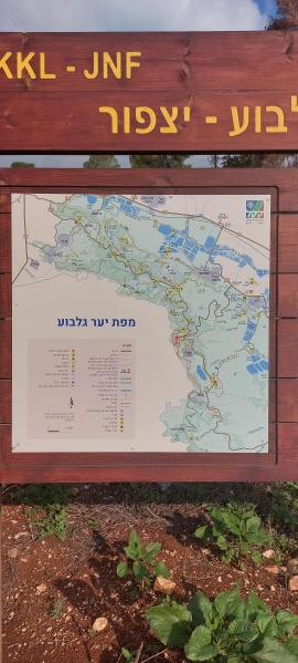 קובץ:2023-04-28T07 28 55.524807223733.jpg