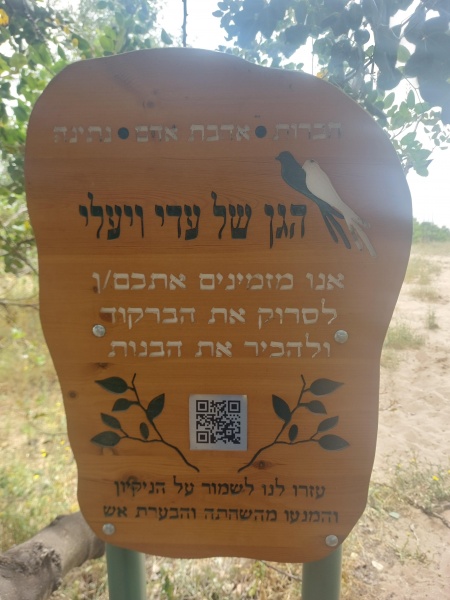 קובץ:2023-05-05T13 22 20.436076778800.jpg