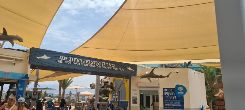 קובץ:2023-05-21T11 53 47.927120362664.jpg