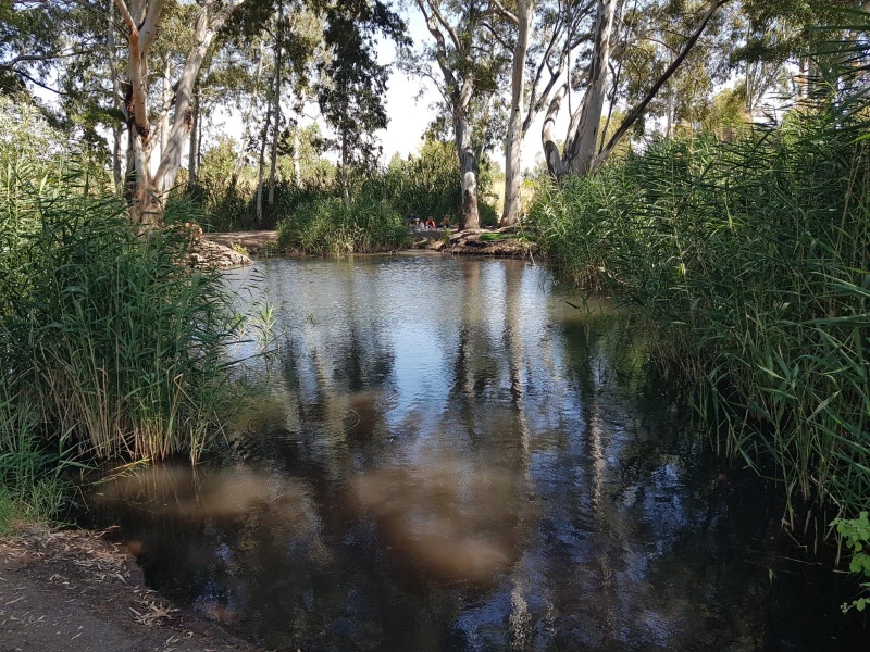 קובץ:2023-06-07T16 09 30.260757894381.jpg