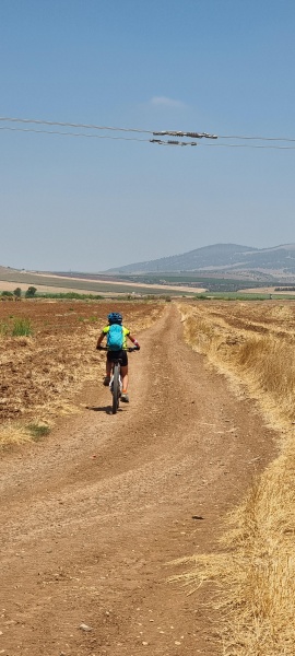 קובץ:2023-07-02T16 20 59.21107549538.jpg