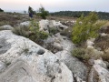 תמונה ממוזערת לגרסה מתאריך 16:18, 19 באוגוסט 2023