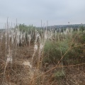 תמונה ממוזערת לגרסה מתאריך 05:11, 29 בספטמבר 2023