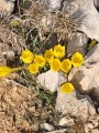 תמונה ממוזערת לגרסה מתאריך 07:47, 13 בנובמבר 2023