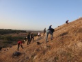 תמונה ממוזערת לגרסה מתאריך 09:00, 19 במרץ 2024