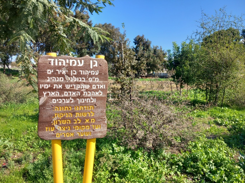 קובץ:2023-12-14T10 42 21.119511511990.jpg