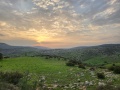 תמונה ממוזערת לגרסה מתאריך 18:14, 23 בינואר 2024