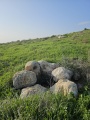 תמונה ממוזערת לגרסה מתאריך 18:28, 22 בינואר 2024