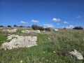 תמונה ממוזערת לגרסה מתאריך 18:30, 22 בינואר 2024