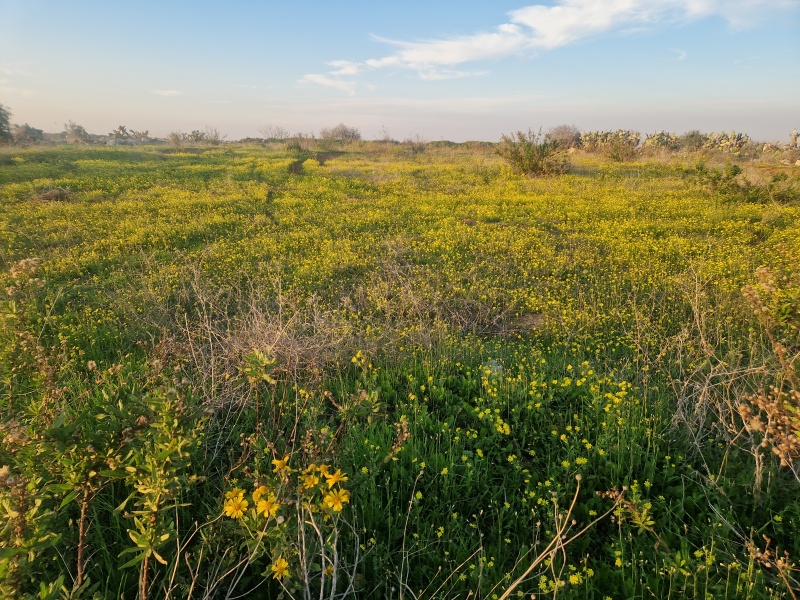 קובץ:2024-01-06T16 18 44.074947283033.jpg