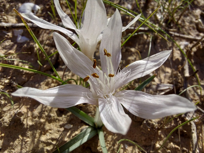 קובץ:2024-01-06T21 38 15.776739193814.jpg