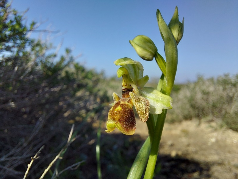 קובץ:2024-01-19T10 25 19.443914732979.jpg