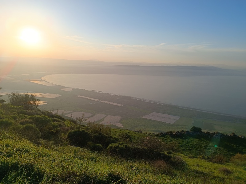 קובץ:2024-01-19T16 22 22.168394105188.jpg