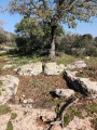 תמונה ממוזערת לגרסה מתאריך 08:58, 17 בפברואר 2024