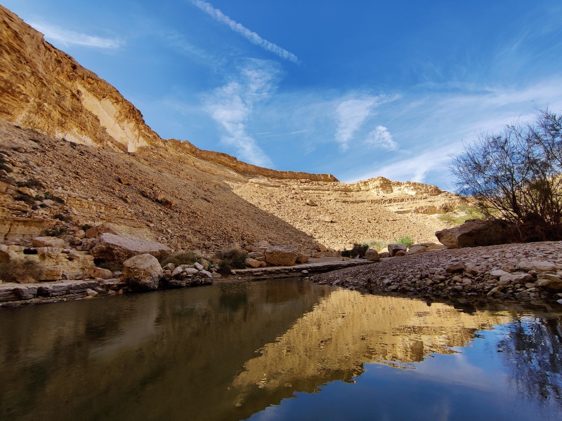 קובץ:2024-01-23T12 07 03.00806246084.jpg