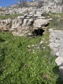 תמונה ממוזערת לגרסה מתאריך 12:08, 7 בפברואר 2024