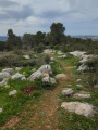 תמונה ממוזערת לגרסה מתאריך 10:42, 13 בפברואר 2024