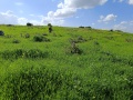 תמונה ממוזערת לגרסה מתאריך 10:52, 16 בפברואר 2024