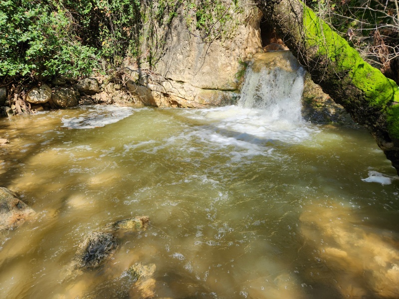 קובץ:2024-02-21T11 11 20.11766183498.jpg