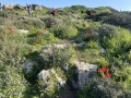 תמונה ממוזערת לגרסה מתאריך 14:48, 24 בפברואר 2024