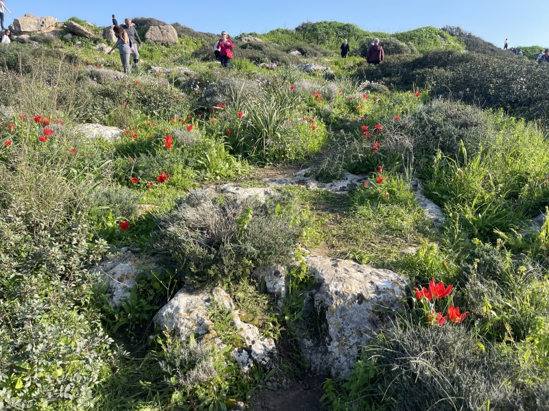 קובץ:2024-02-24T15 35 25.224363661535.jpg