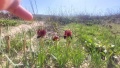 תמונה ממוזערת לגרסה מתאריך 18:59, 26 בפברואר 2024