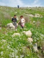 תמונה ממוזערת לגרסה מתאריך 11:51, 27 בפברואר 2024