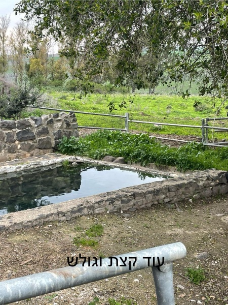 קובץ:2024-02-28T14 59 35.873420885020.jpg