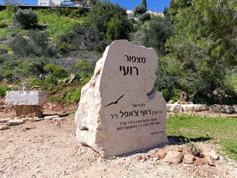 קובץ:2024-02-29T12 59 07.918100565281.jpg