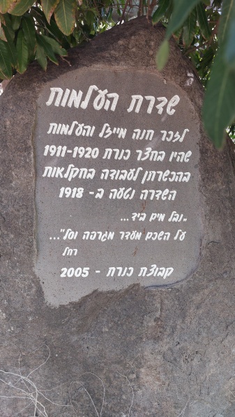 קובץ:2024-03-02T11 42 40.609263653120.jpg