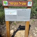 תמונה ממוזערת לגרסה מתאריך 06:38, 10 במרץ 2024