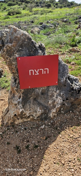 קובץ:2024-03-09T13 29 59.412350708359.jpg