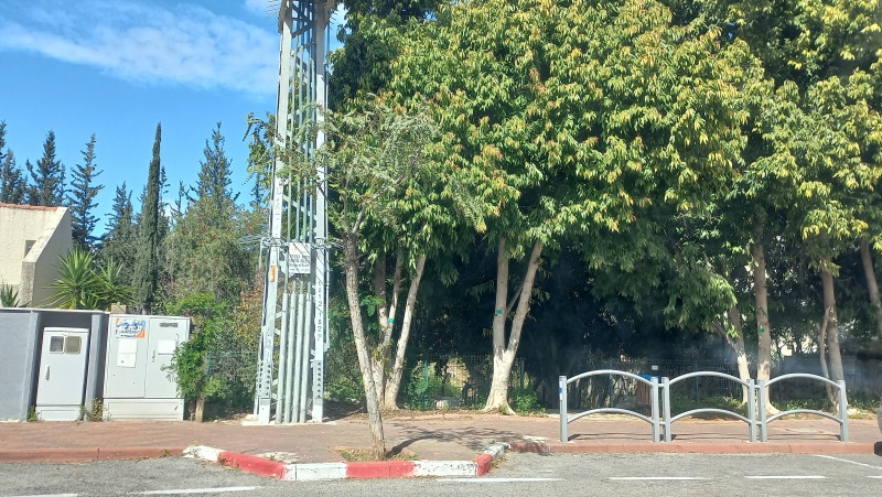 קובץ:2024-03-15T14 10 14.326271402782.jpg